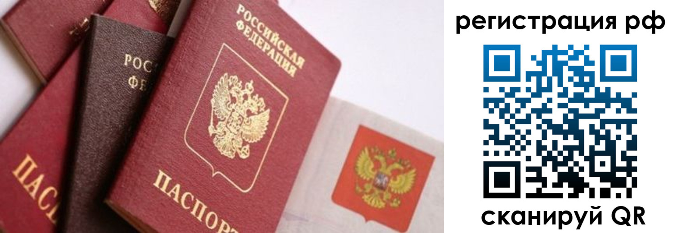 временная регистрация купить в Светлогорске
